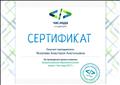 Сертификат за проведение урока в рамках Всероссийской образовательной акции "Час кода 2017"